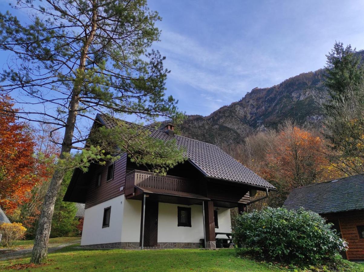 Apartmaji Zupancic Bohinj Buitenkant foto