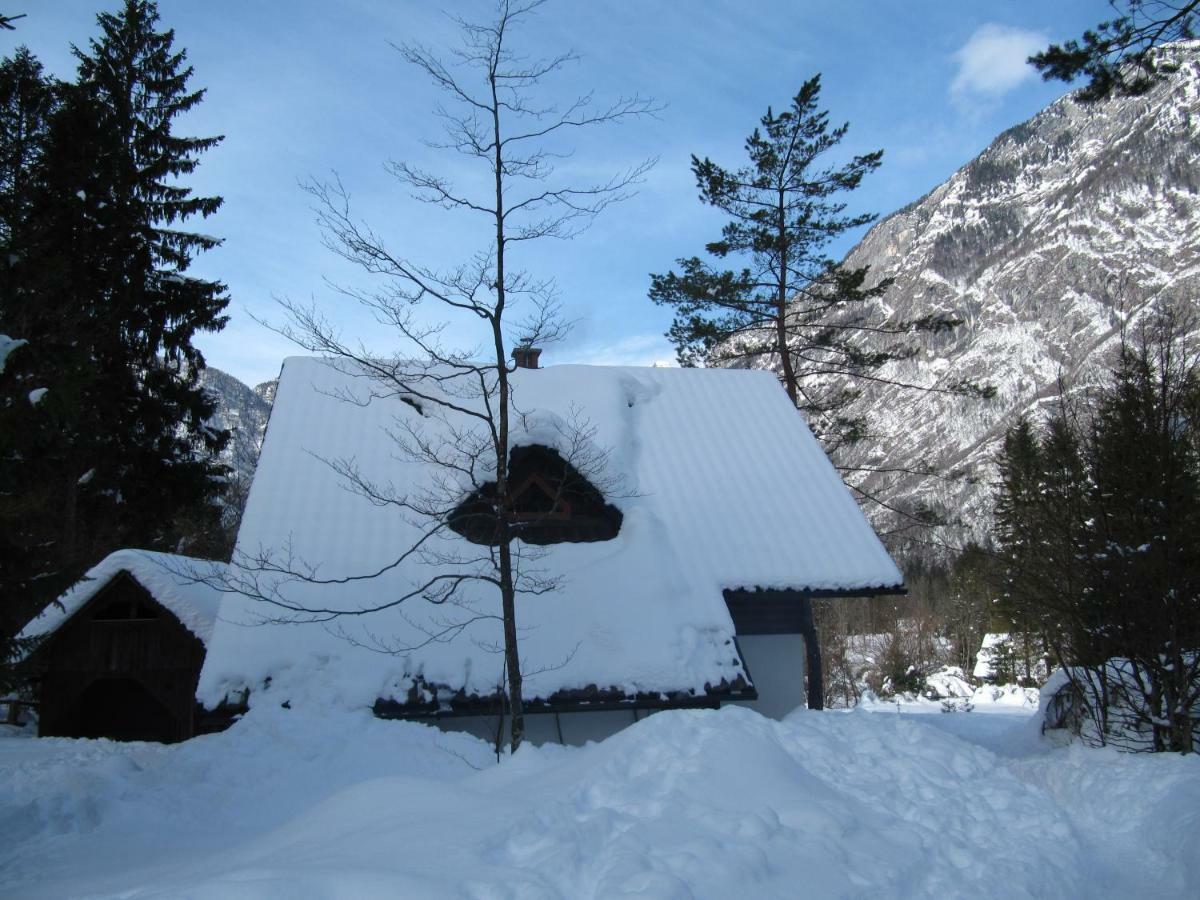Apartmaji Zupancic Bohinj Buitenkant foto